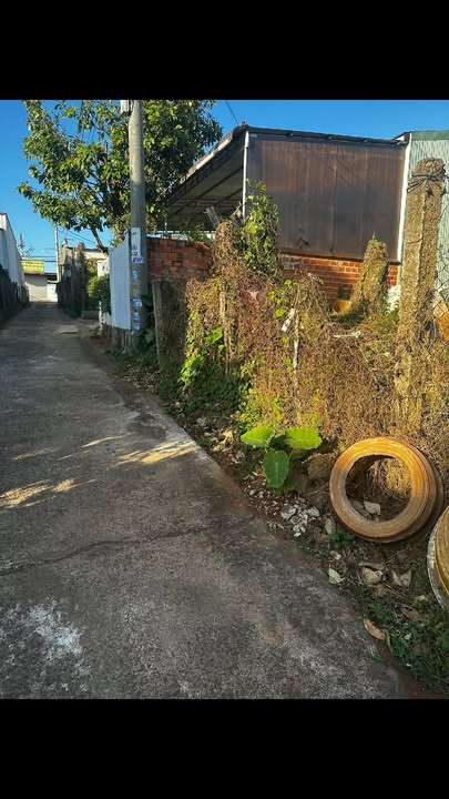 Đất chính chủ Hẻm 89 Nguyễn Trãi, An Bình 1180m² - Sổ hồng đầy đủ, giá tốt!