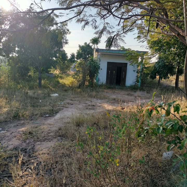 Đất mặt tiền Quốc lộ 14, Buôn Hồ 800m² giá 92 tỷ - Đầu tư sinh lời ngay!