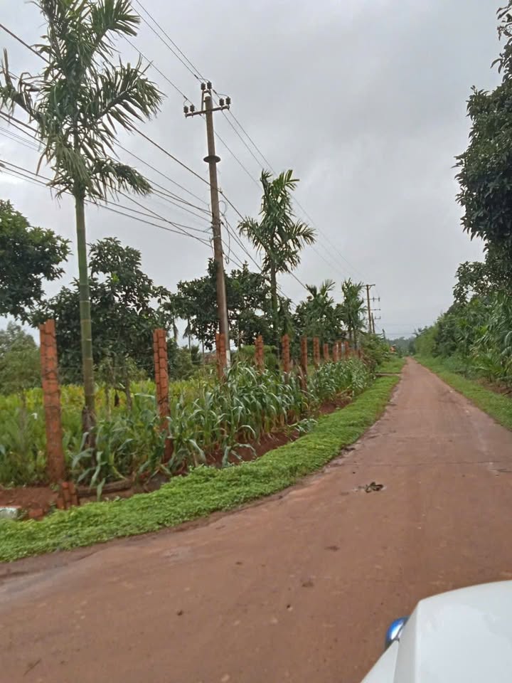 Đất nền khu công nghiệp Phú Xuân 180m² giá chỉ 300 triệu - Đầu tư sinh lời!