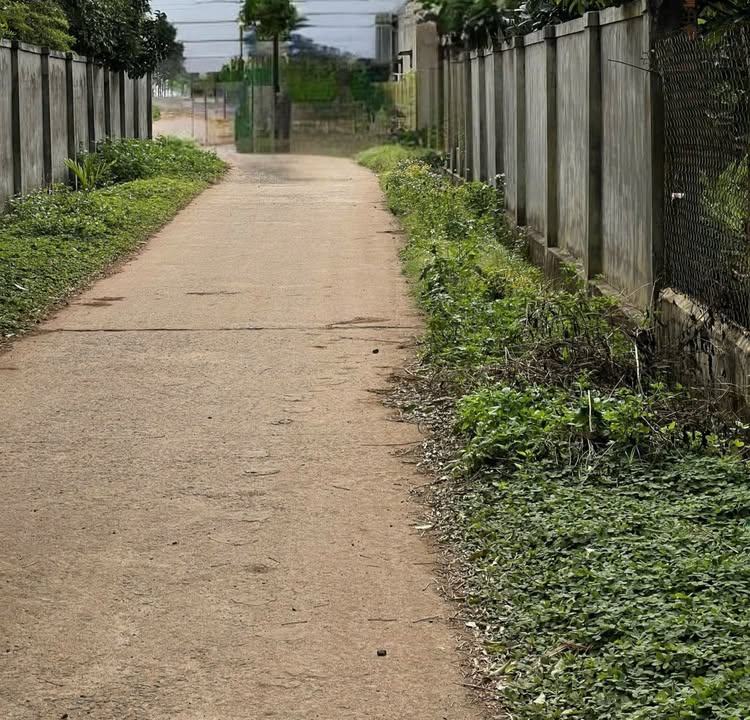 Đất thổ cư Thôn Phú Thành, Cư M'gar 230m² giá 600 triệu - Cơ hội đầu tư hấp dẫn!