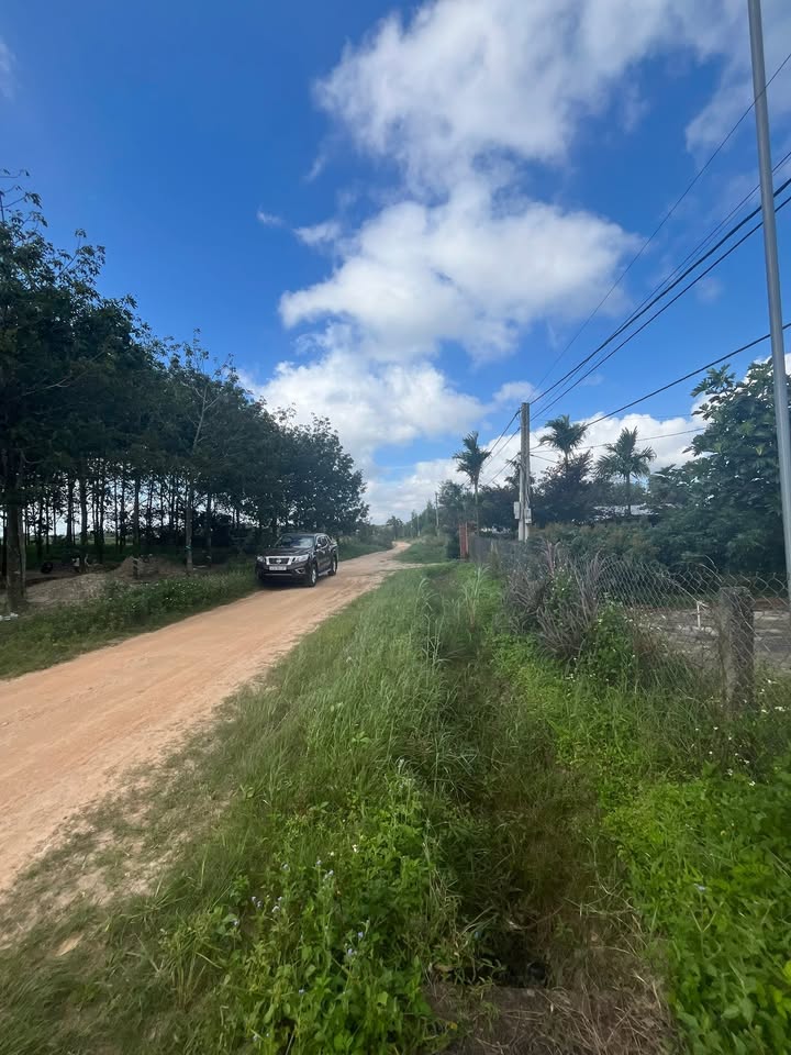 Đất Farm 6 xào tại Xã Ea Tih, Huyện Ea Kar, Đắk Lắk giá 2 tỷ - Sẵn sàng thu hoạch ngay!