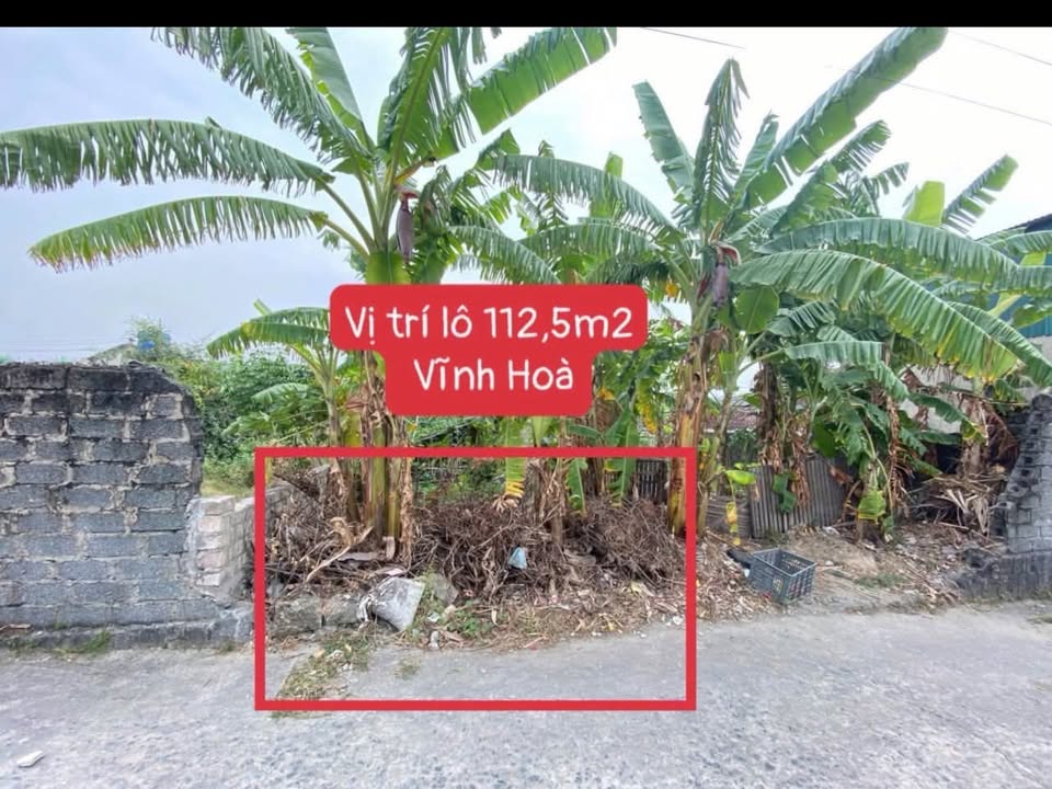 Đất thổ cư 112,5m² tại Khu Vĩnh Hoà, Mạo Khê - Chỉ 800 triệu VND!