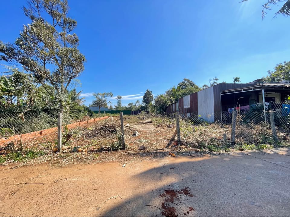 Đất Tân An Buôn Ma Thuột 205m² giá 1.65 tỷ - Đường bê tông thông thoáng!