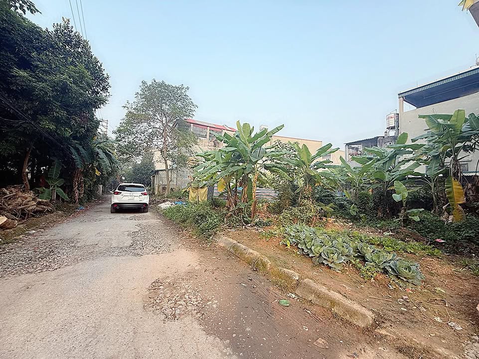 Đất nền Đông Nam Oasis City 77m² giá 3.x tỷ - Mặt hồ quy hoạch tiềm năng!