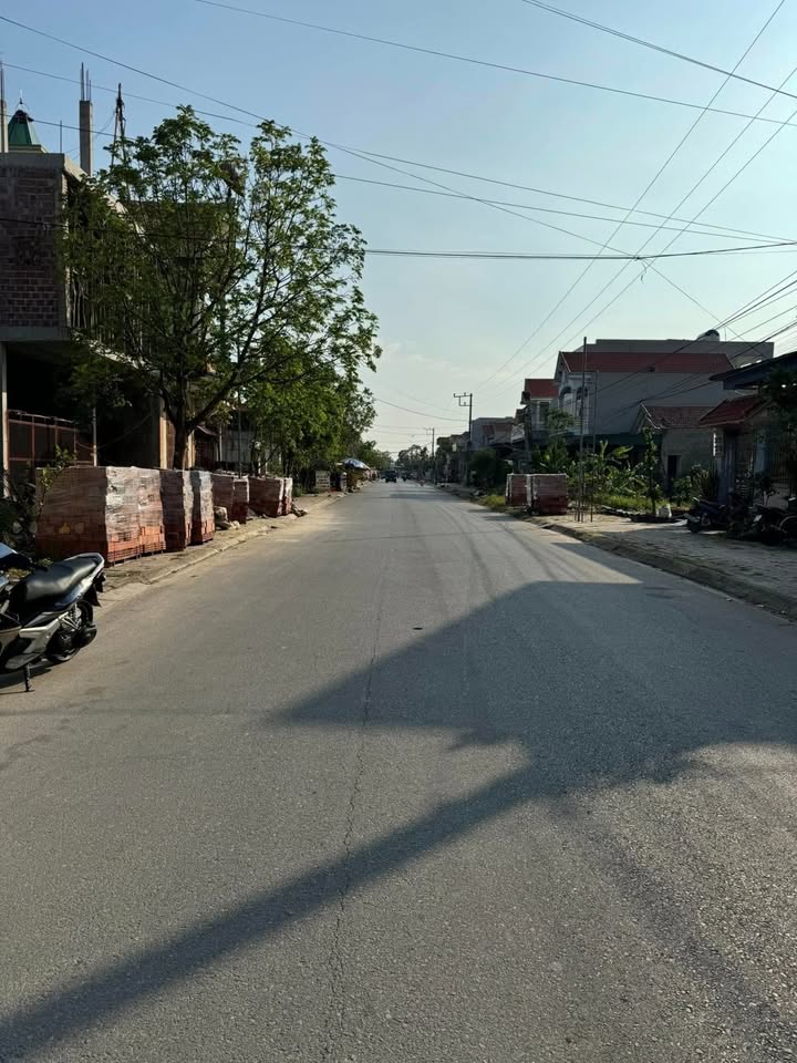 Đất mặt đường 12m Phong Hải 110m² giá 5.5 tỷ - Đầu tư sinh lời bền vững!