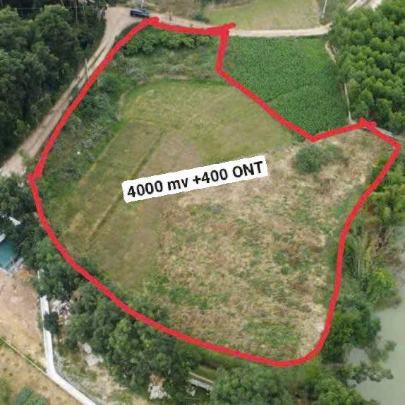 Đất thổ cư 4000m² tại Tam Giang, Yên Phong - View sông tuyệt đẹp, giá thỏa thuận!