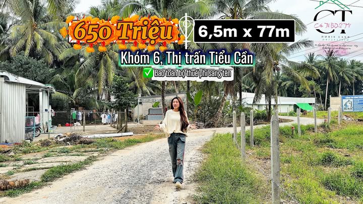 Đất nền Tiểu Cần 500.5m² giá 650 triệu - Sổ đỏ chính chủ, thương lượng ngay!