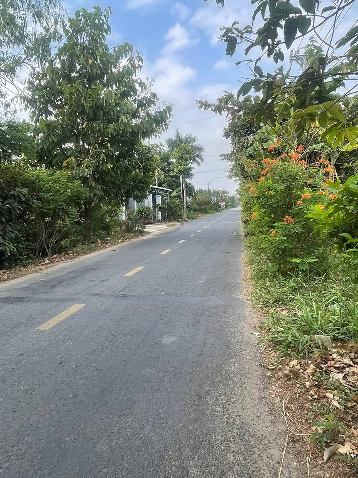 Bán đất mặt tiền Tỉnh Lộ 914, 5330m² chỉ 980 triệu - Cơ hội đầu tư hấp dẫn!