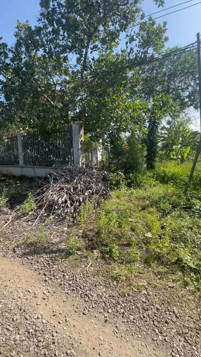 Đất vườn thổ cư 1800m² xã Tân Phú, giá 1.6 tỷ - Cơ hội đầu tư hấp dẫn!