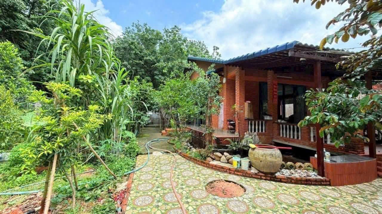 Bán Căn Nhà Vườn Mặt Tiền Đường Nhựa 1010m² tại Phước Trung - Giá Chỉ 6 Tỷ!