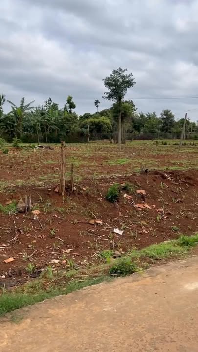 Đất nền Quỳnh Ngọc, 380m² chỉ 450 triệu - Cơ hội đầu tư tuyệt vời!