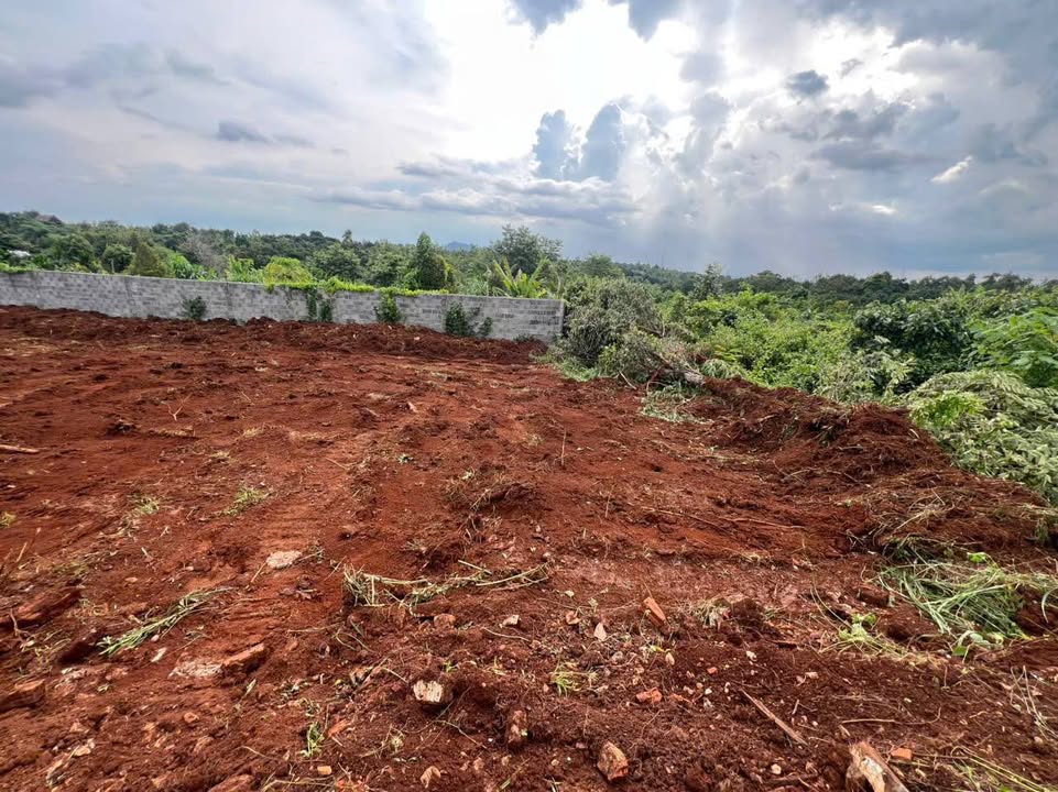 Bán đất Làng Doanh Nhân Hòa Đông 80m² giá 550 triệu - Đầu tư tiềm năng ngay hôm nay!