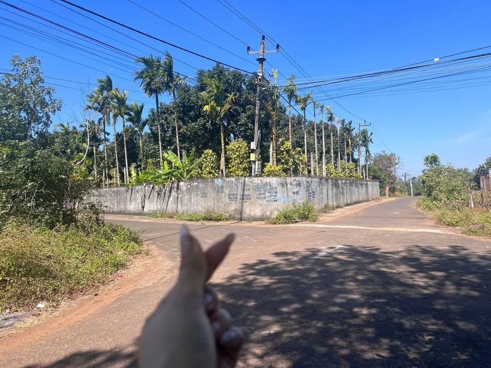 Đất nền Ea Kao Buôn Ma Thuột 375m² giá 1.495 tỷ - Đầu tư sinh lời ngay!