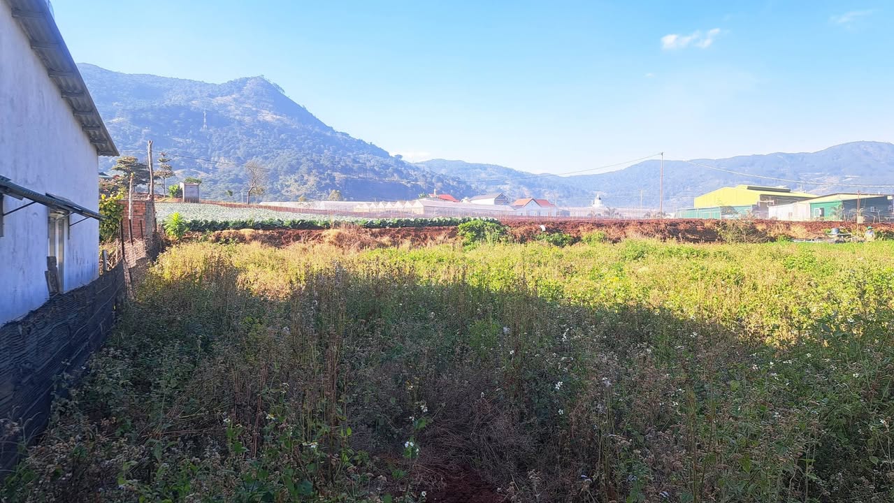 Đất thổ cư 1.058m² tại Hiệp An, 3.1 tỷ - Vị trí đắc địa gần Đà Lạt!