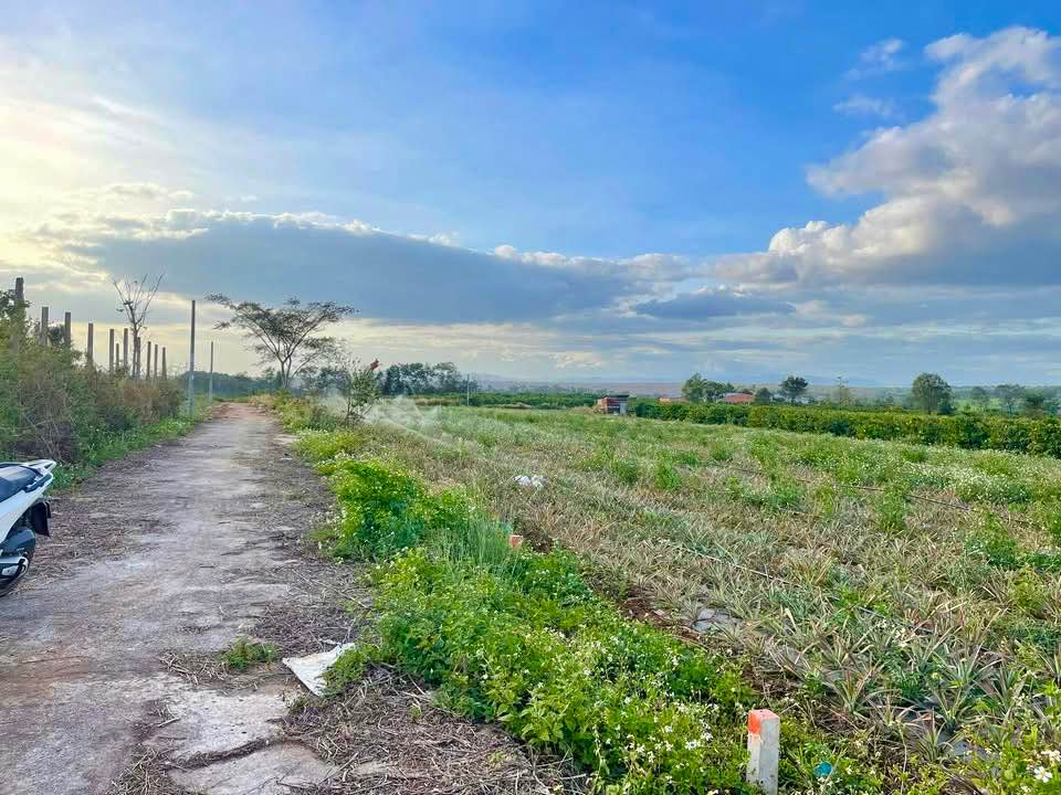 Đất ở Hẻm Trường Sa, Pleiku 215m² giá 4xx triệu - Cơ hội đầu tư tuyệt vời!