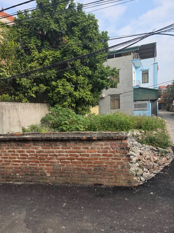 Đất nền phường Trí Quả, Thuận Thành 65m² giá 3 tỷ - Ô tô vào tận nơi!