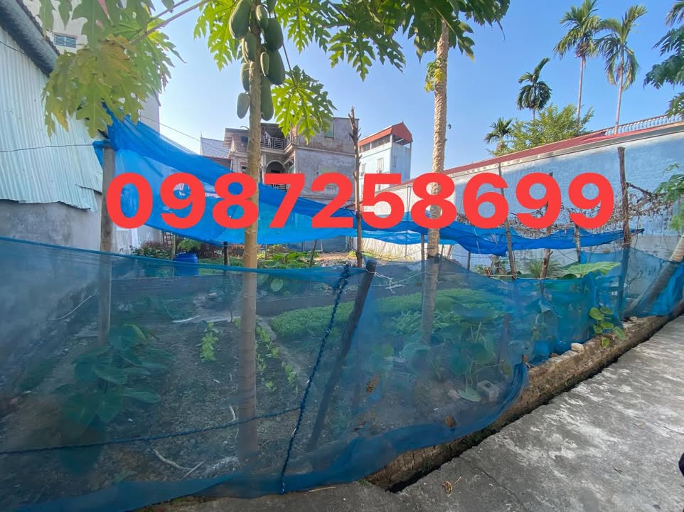 Đất nền Ô Cách, Đông Tiến, Yên Phong 75m² giá 1.2 tỷ - Cơ hội đầu tư tuyệt vời!