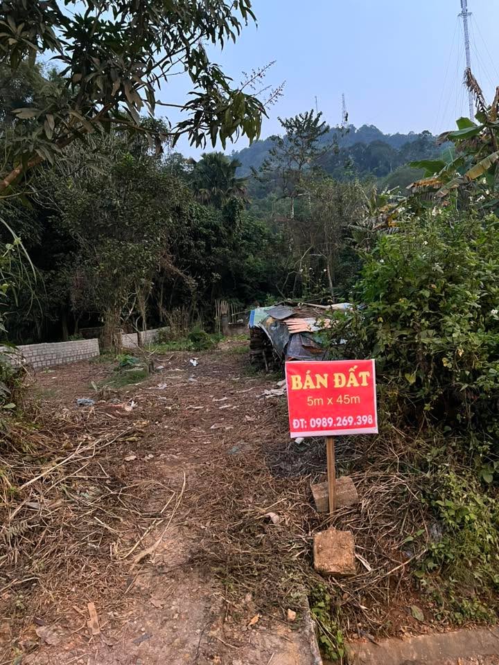 Đất nền 225m² tại xã Việt Vinh, huyện Bắc Quang - Giá tốt, vị trí đẹp!