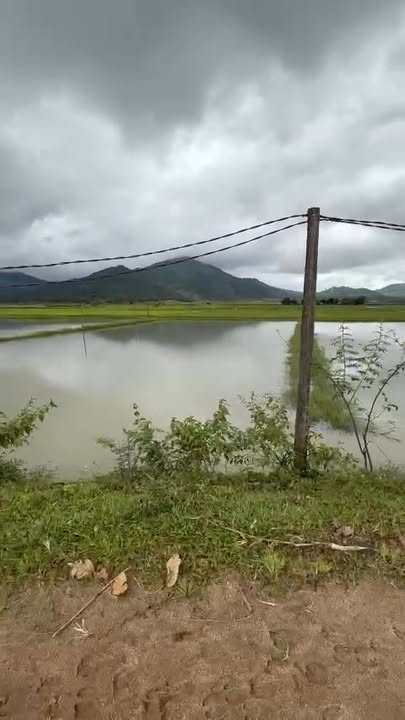 Đất ruộng Chư Đăng Ya 3948m² - Bám 2 mặt đường, gần núi lửa!