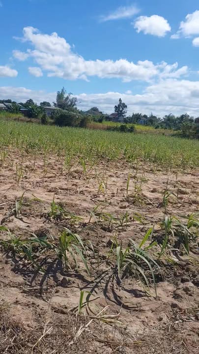 Bán đất Phường Vinh Quang, Kon Tum 2778m² - Thích hợp làm nhà vườn!