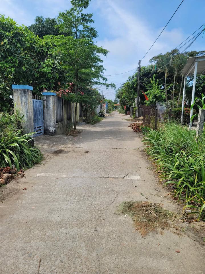 Đất Tân Khai, Điện Dương 320m² giá chỉ 3.X tỷ - Sổ đỏ chính chủ!