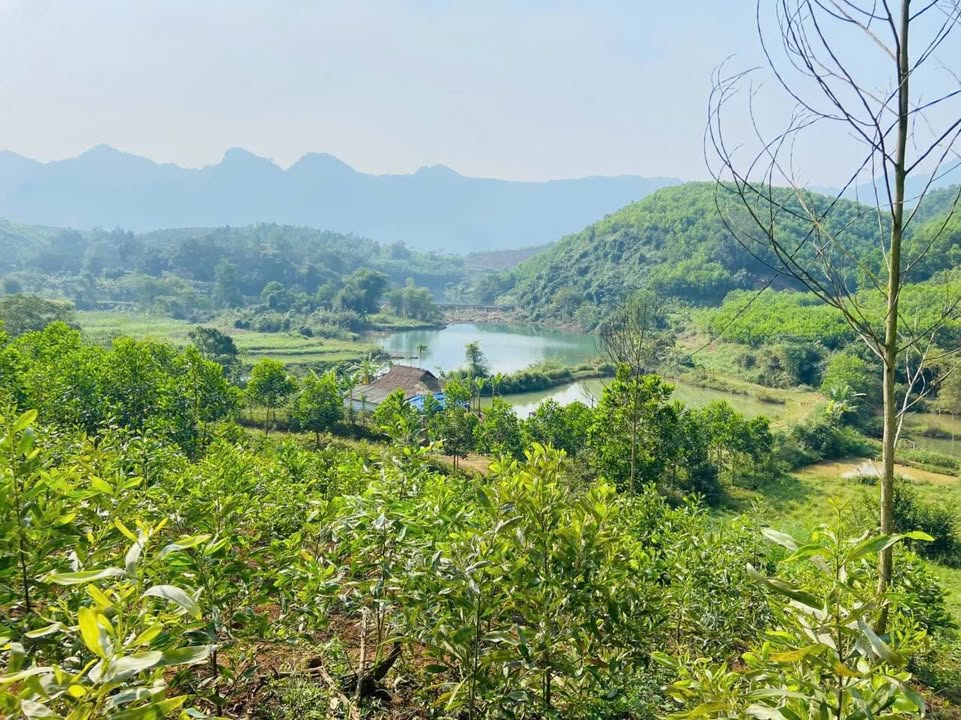 Đất nền 7200m² Lạc Sơn, Hòa Bình - View hồ tuyệt đẹp chỉ 77 tỷ!