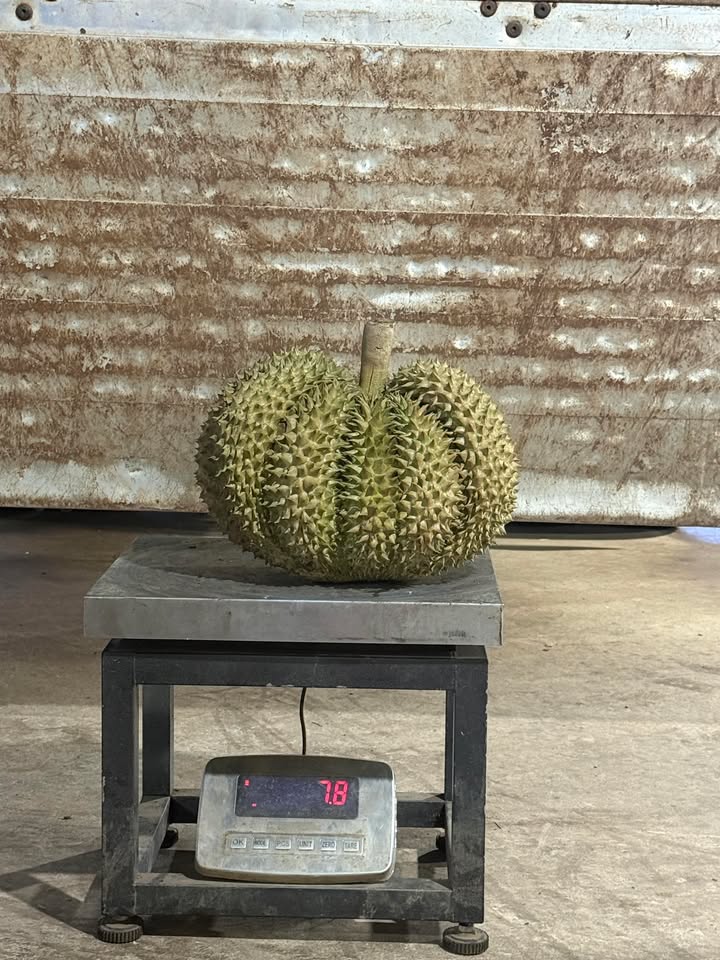 Đất nền liền kề hẻm Xô Viết Nghệ Tĩnh, 250m² giá 3.5 tỷ - Cơ hội đầu tư sinh lời!