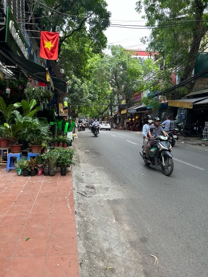 Căn hộ Đống Đa Cát Linh 60m² giá 13.8 tỷ - Thiết kế sang trọng, lợi nhuận cao!