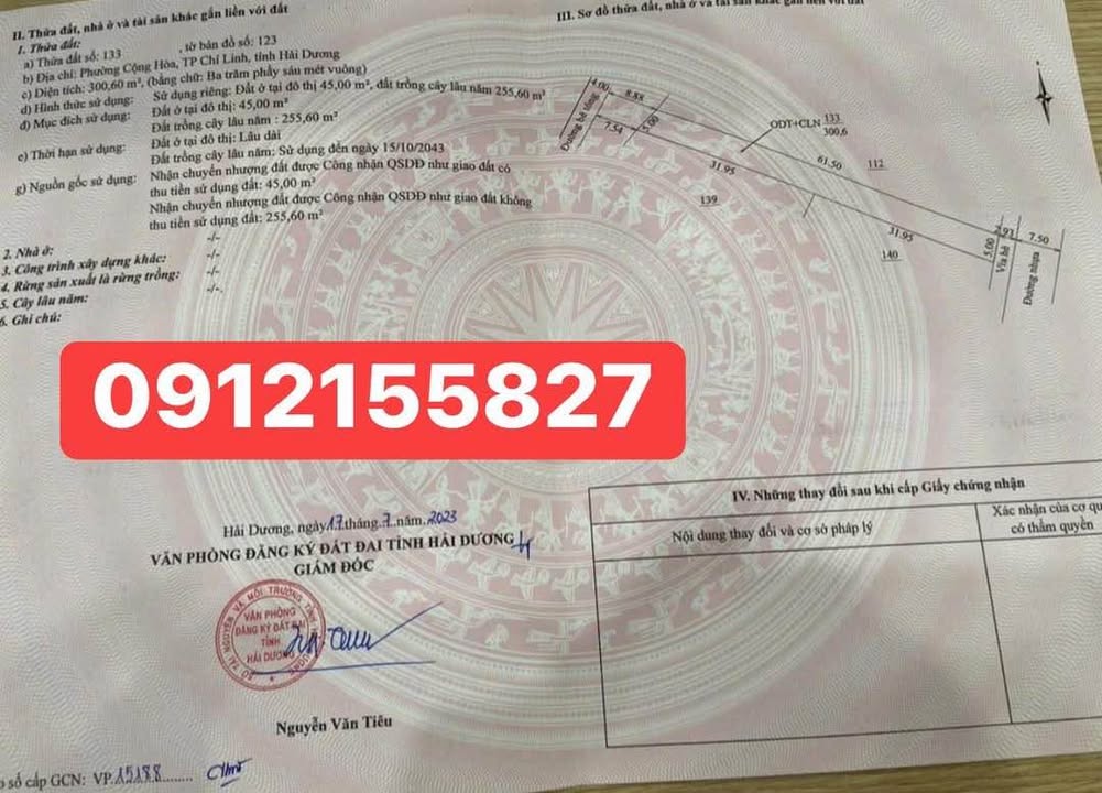 Đất nền Trúc Thôn, Cộng Hoà, Chí Linh 300,6m² - 2 mặt tiền siêu đẹp!