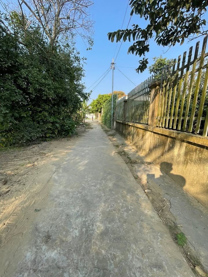 Đất thổ cư tại Phường Quảng Cát, Thanh Hóa 290m² giá 1.5 tỷ - Cơ hội đầu tư tuyệt vời!