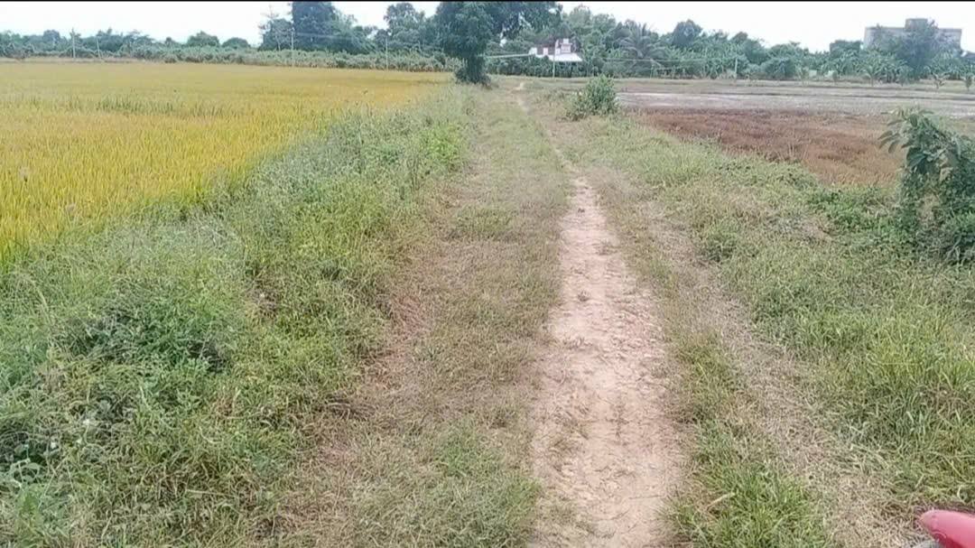 Đất nền 1622m² đường quy hoạch 12m tại Bắc Bình chỉ 195 triệu - Đầu tư sinh lời cao!