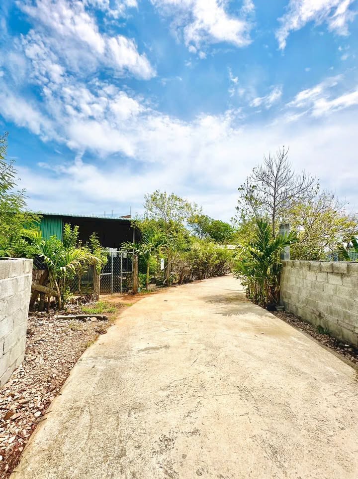 Đất CLN mặt tiền đường bê tông Xã Hàm Hiệp 2000m² giá 4.x tỷ - Sổ đỏ chính chủ, chuyển nhượng ngay!