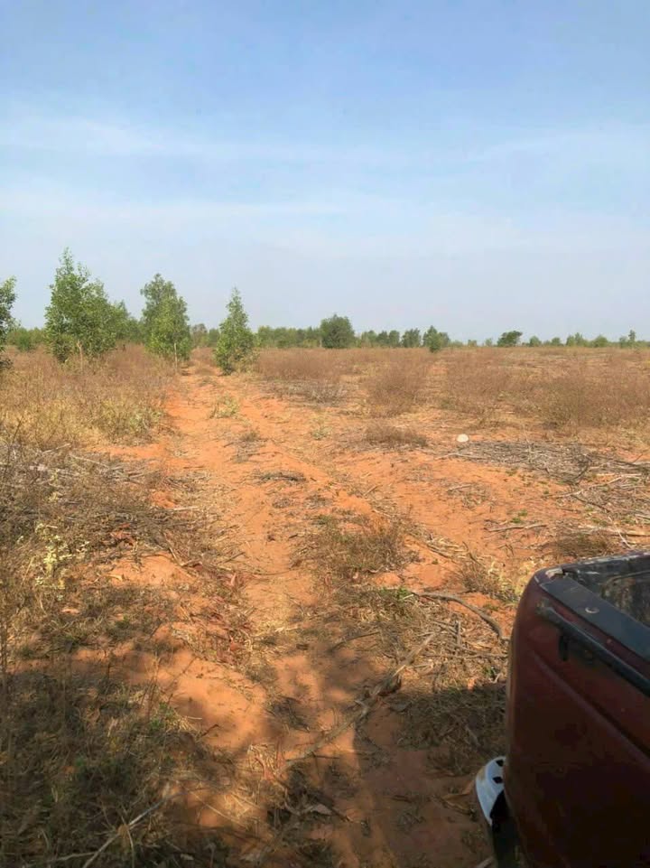 Đất đầu tư Farm xã Hồng Phong, Bắc Bình 1360000m² giá 81.6 tỷ - Cơ hội vàng cho nhà đầu tư!