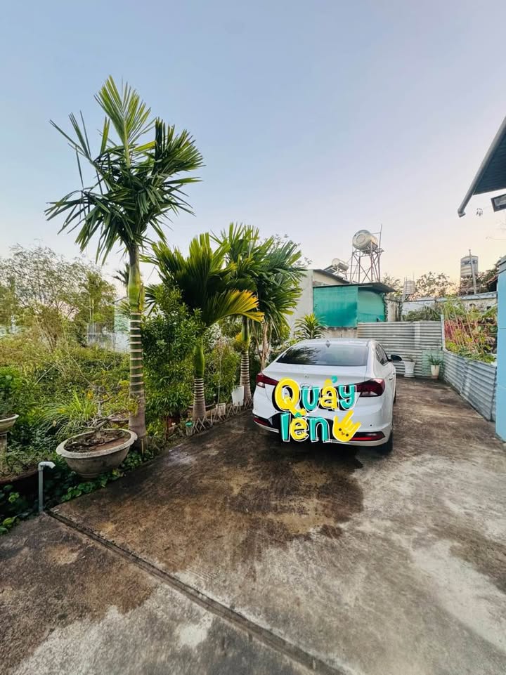 Nhà cấp 4 hẻm 52 Trần Văn Hai, 140m² giá 1 tỷ - Dân cư đông đúc, tiện ích đầy đủ!