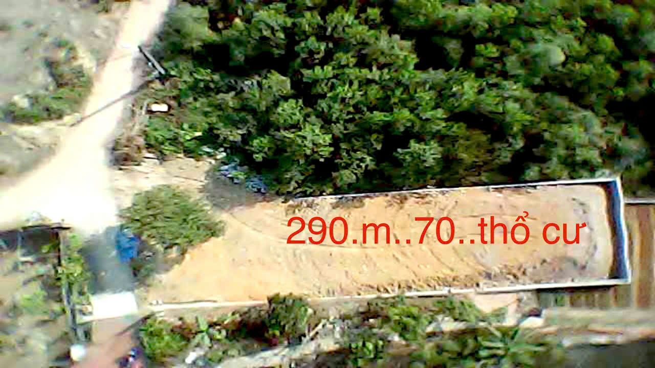 Đất thổ cư 290m² tại ngõ 17 đường Tân Cương - Giá chỉ 1.4 tỷ, thương lượng ngay!