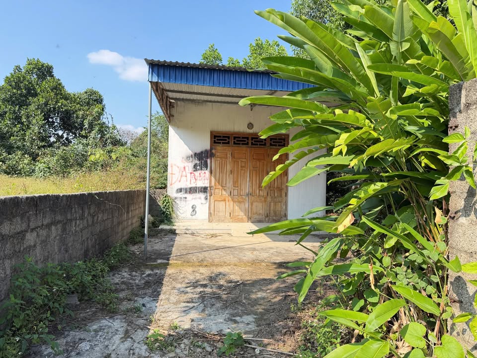 Đất nông nghiệp Tiên Hội, Đại Từ 10.463m² giá 5 tỷ - Tiềm năng sinh lời cao!