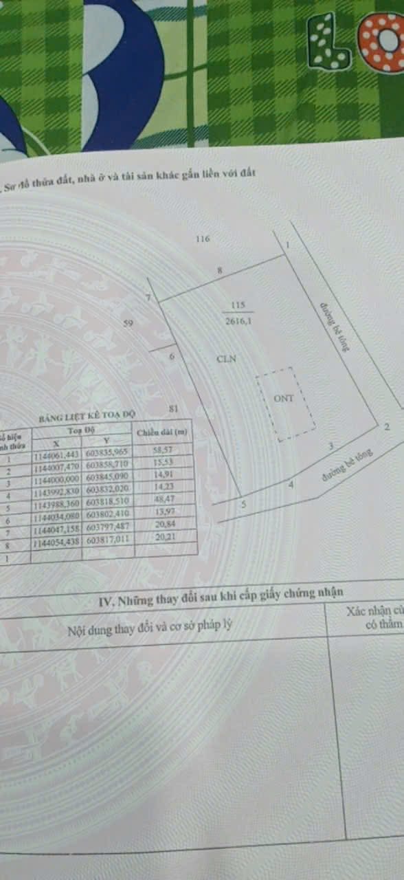 Đất thổ cư 22,800m² Gò Công Đông 2.8 tỷ - Vườn trái cây sẵn có