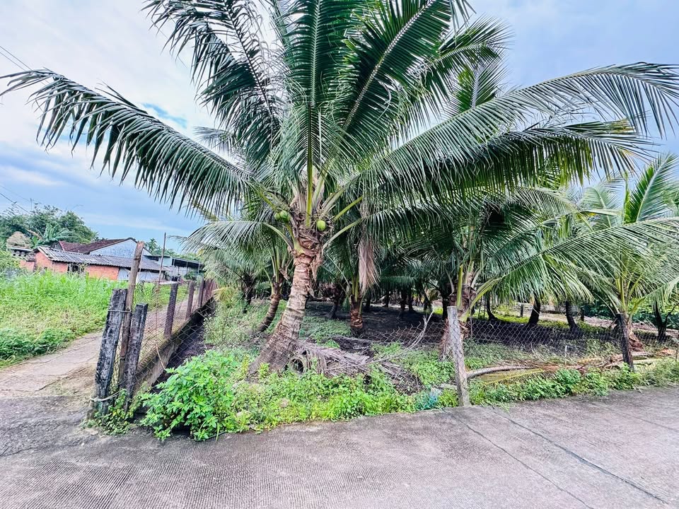 Đất nền Thị trấn La Hà 100m² giá 580 triệu - Hướng Đông, đường ô tô