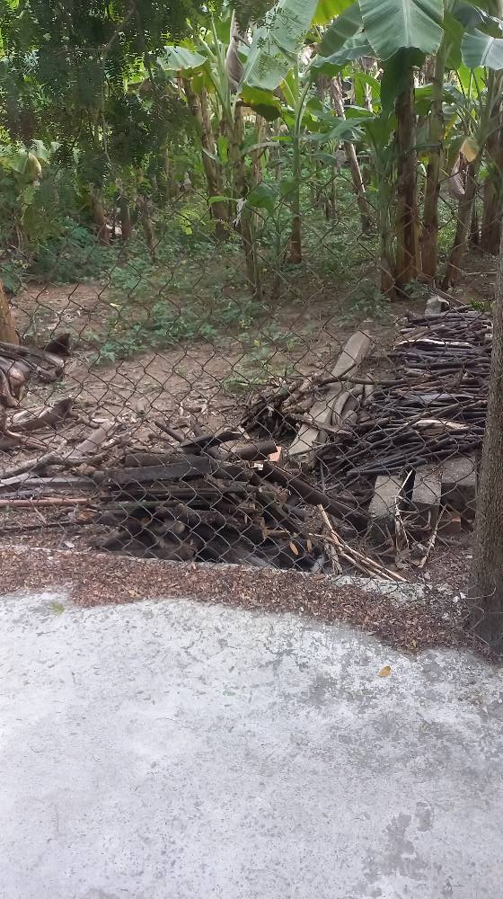 Đất nền Ấp Chợ, phường Trung An, 248m² giá 1.25 tỷ - Đầu tư sinh lời tuyệt vời!