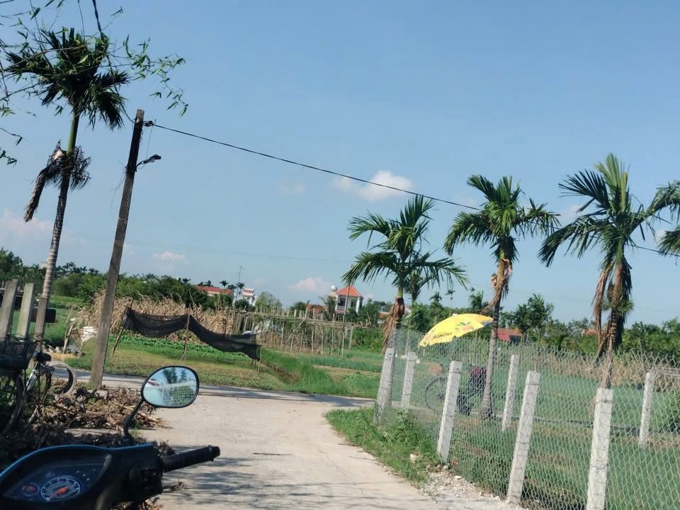 Đất nền Thị Lý, Thị trấn Cồn 308m² giá thỏa thuận - Mặt tiền 10m, đường thông 4 hướng!