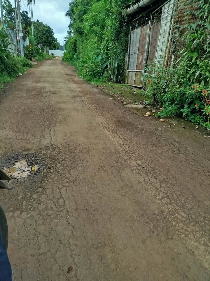 Nhà Hòa Thắng, 350m², giá 3.559 tỷ - Mái thái hiện đại, sân vườn rộng rãi!