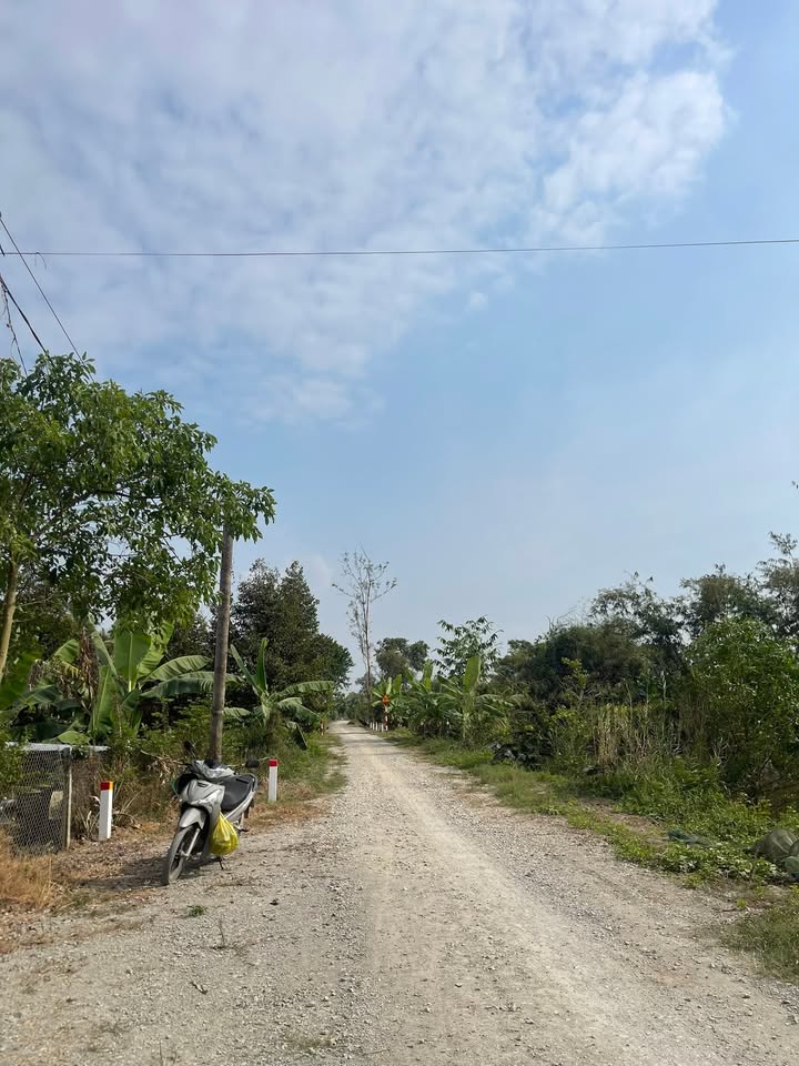 Đất Farm 14 Công xã Thanh Mỹ, Đồng Tháp - Giá chỉ 480 triệu/công, sẵn sàng đầu tư!