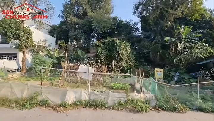 Đất nền Phường Hà Lầm, Hạ Long 81.8m² giá 3.618 tỷ - Tiềm năng tăng giá bền vững!