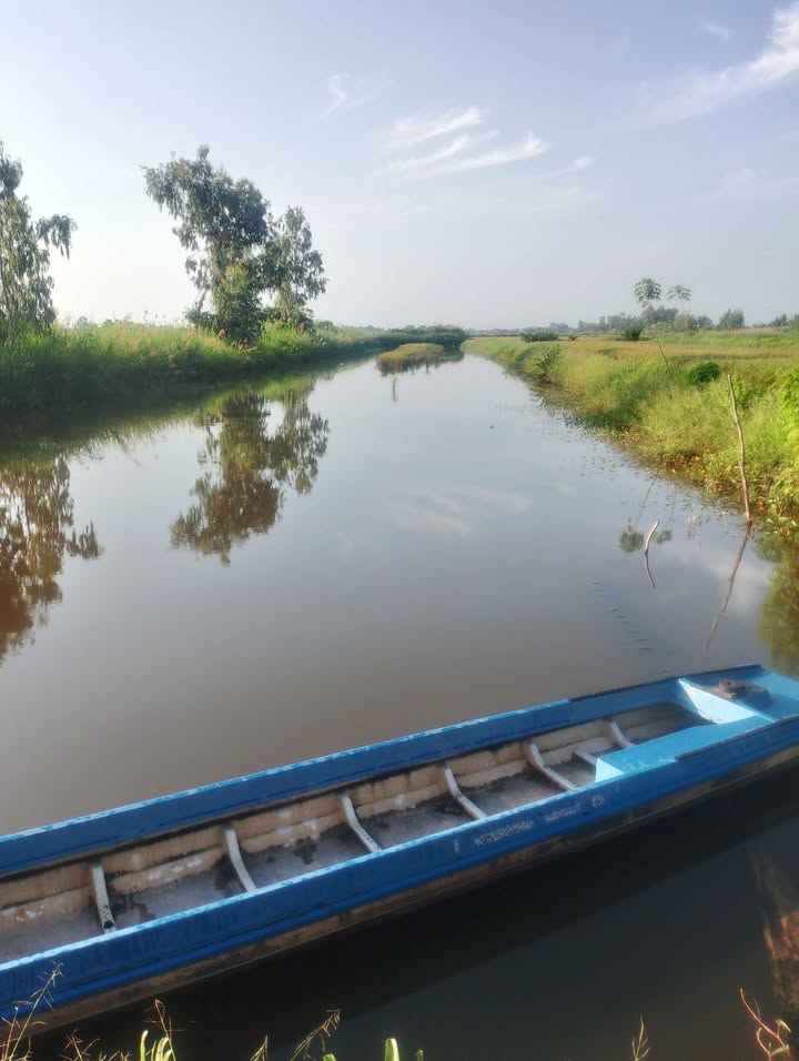 Đất Farm 10 công tại Kinh Thầy Ba Thứ, An Minh, Kiên Giang - Giá chỉ 1.25 tỷ