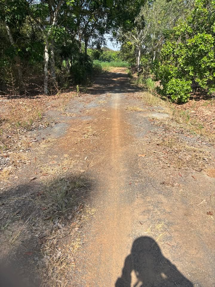 Đất nền Thanh Lương, Chơn Thành 200m² giá chỉ 100 triệu - Cơ hội đầu tư tuyệt vời!