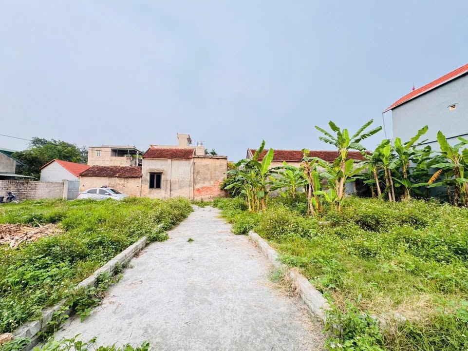 Đất nền thôn Quế Sơn, Xã Dân Hòa, 51.6m² giá 3 tỷ - Cơ hội đầu tư lý tưởng!