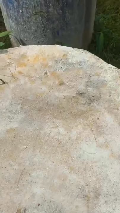 Đất Farm Ea Ral 10.800m² giá 900 triệu - Đầu tư sinh lời ngay hôm nay!