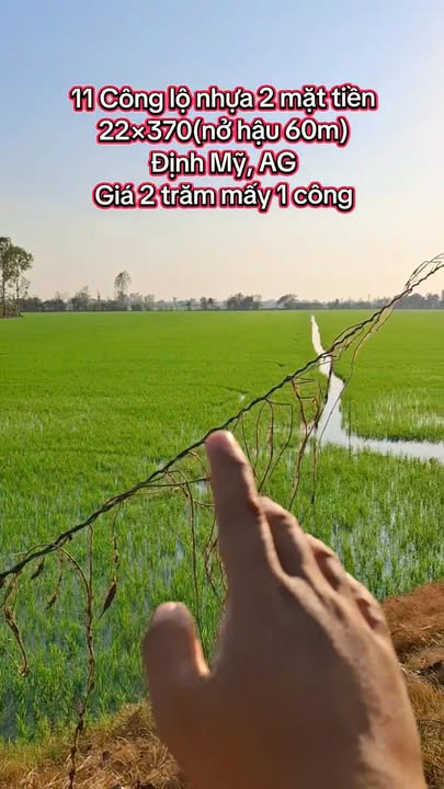 Đất nền 11 công Lộ Nhựa, Định Mỹ, An Giang - Giá chỉ từ 200 triệu