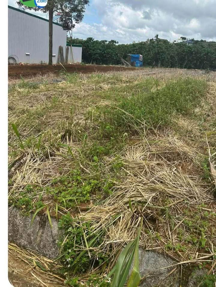 Đất nền 540m² hẻm 08 Nguyên Chí Thanh Bảo Lâm, chỉ 1.38 tỷ - Tiện ích đầy đủ, thích hợp xây nhà ở!