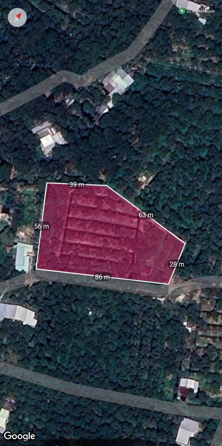 Đất Farm 5,2 Công Sầu Riêng Long Trung 800 triệu - Cơ hội đầu tư sinh lời!